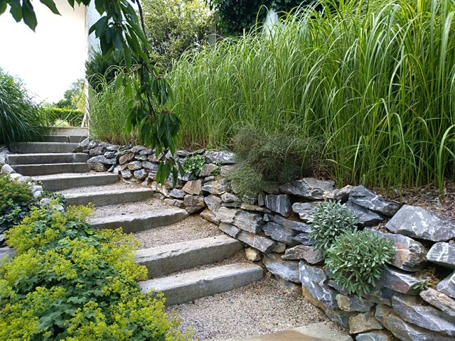 GARTENBAU GRUBER 4 Gartenbau Gruber Produktbild Garten