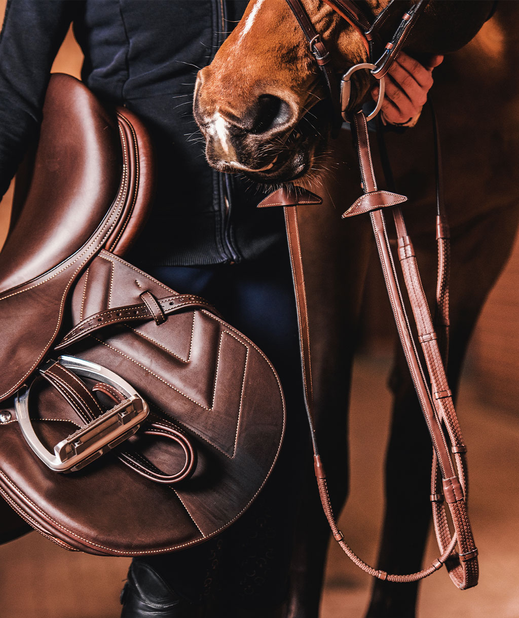 Pferdekranken und Sattelversicherung Pferdekranken und Sattelversicherung