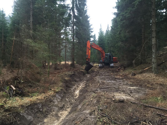 STEINBRUCH GRUBER 4 Steinbruchgruber
